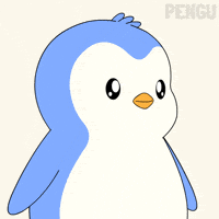 Penguin Wow GIF by Pudgy Penguins