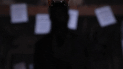Crypttv Cats GIF by Crypt TV