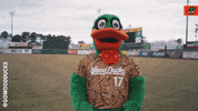 Baseball Texas GIF by Down East Wood Ducks