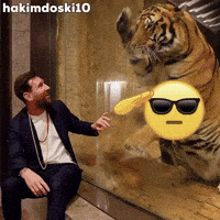 Lionel Messi Argentina GIF