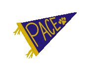 Daniellebrusco college new york new york city pace Sticker