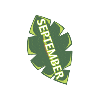 Palm Leaf Sticker by vitaveg eco packaging