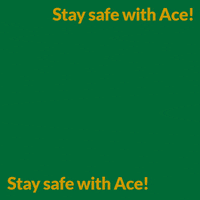 Ace Nova GIF by BoldlyNOVA