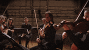 Musicians Violin GIF by McGill University