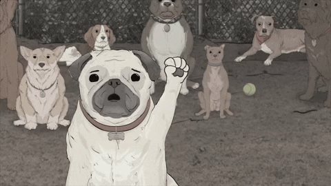 season 1 cats GIF by Animals