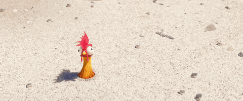 GIF by Moana