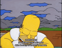 homer simpson GIF