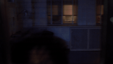 scully mulder GIF by The X-Files
