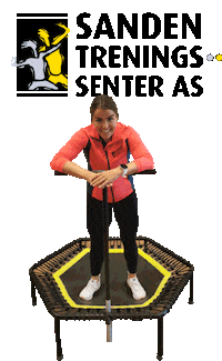 Sandenchristine Sticker by Sanden Treningssenter