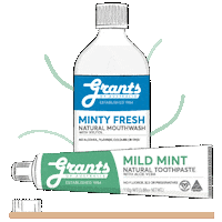 GrantsOfAustralia koala toothpaste toothbrush brush teeth Sticker