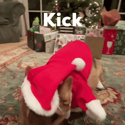 Kick GIF