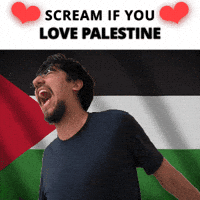 Ps Palestine GIF