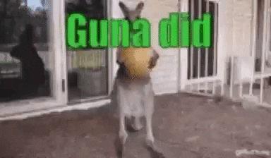GunaProjectNFT giphyupload surprise wacky wallaby GIF