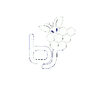 Bee Software Sticker by Blu System