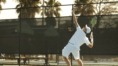 serve men's tennis GIF by GreenWave