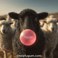 Black Sheep Vibe GIF by Fugum