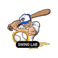 Sticker by Swing Lab