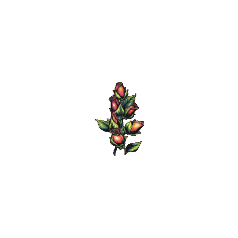 Flowers Buds Sticker by Future Harvest