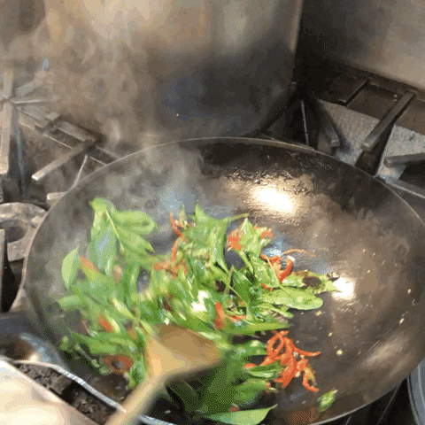 littletongnyc giphyupload GIF