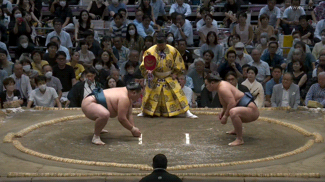 TZ85 giphyupload sumo 2023 aki basho hoshoryu GIF