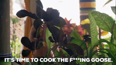 season 5 GIF by Bachelor in Paradise
