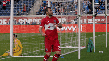 chicago fire celebration GIF by Chicago Fire Soccer Club