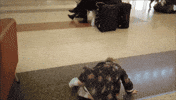 Tired 90 Day Fiance The Other Way GIF by TLC