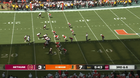 canesport giphyupload GIF