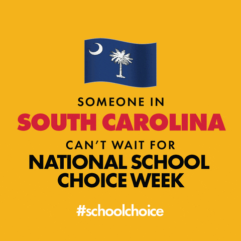 SchoolChoiceWeek education parents sc teachers GIF