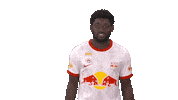 Sekou Koita Celebration Sticker by FC Red Bull Salzburg