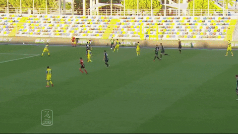 Goal Nero GIF by Pordenone Calcio