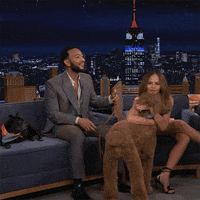Tonight Show Dogs GIF by The Tonight Show Starring Jimmy Fallon