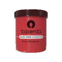 Talenti raspberry dairyfree sorbet talenti Sticker