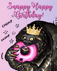 Happy Birthday Princess GIF