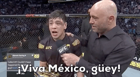 Viva Mexico Sport GIF by UFC