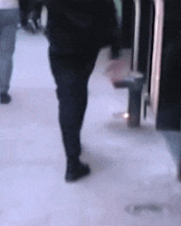 culturewars sunglasses new york city sass strutting GIF