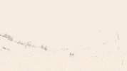 Nyc Wish GIF by Giant Music