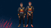 Red Bull Sport GIF by Oracle Red Bull Racing