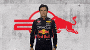 Red Bull Sport GIF by Oracle Red Bull Racing