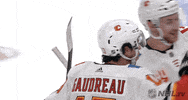 Ice Hockey Hug GIF by NHL