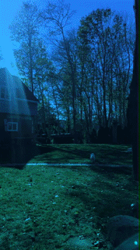 GIF by Johanna Kenney