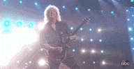 oscars 2019 GIF by The Academy Awards