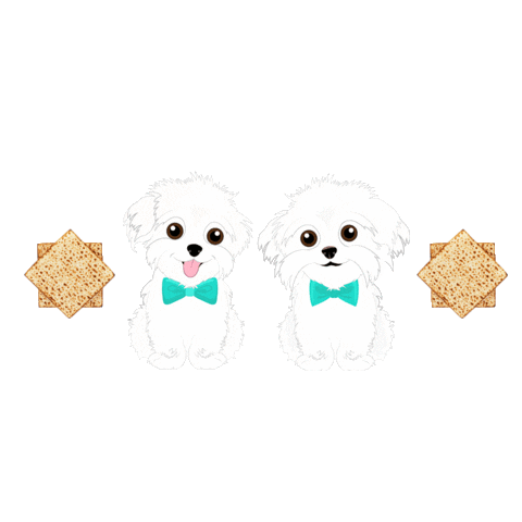 Happy Passover Sticker by HammyandBrody