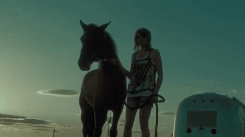 audiogram_ giphygifmaker horse field champs GIF