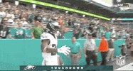 2019 Nfl Football GIF by NFL