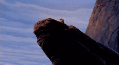 simba warning GIF
