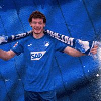 Sport Bundesliga GIF by TSG Hoffenheim