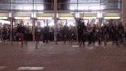 Rdw Entree GIF by Royaume du Web
