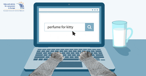 GIF by European Consumer Centre Poland