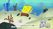 season 9 lost in bikini bottom GIF by SpongeBob SquarePants